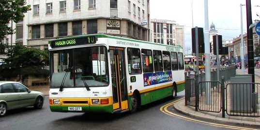 Yorkshire Terrier Dennis Dart Northern Counties 110